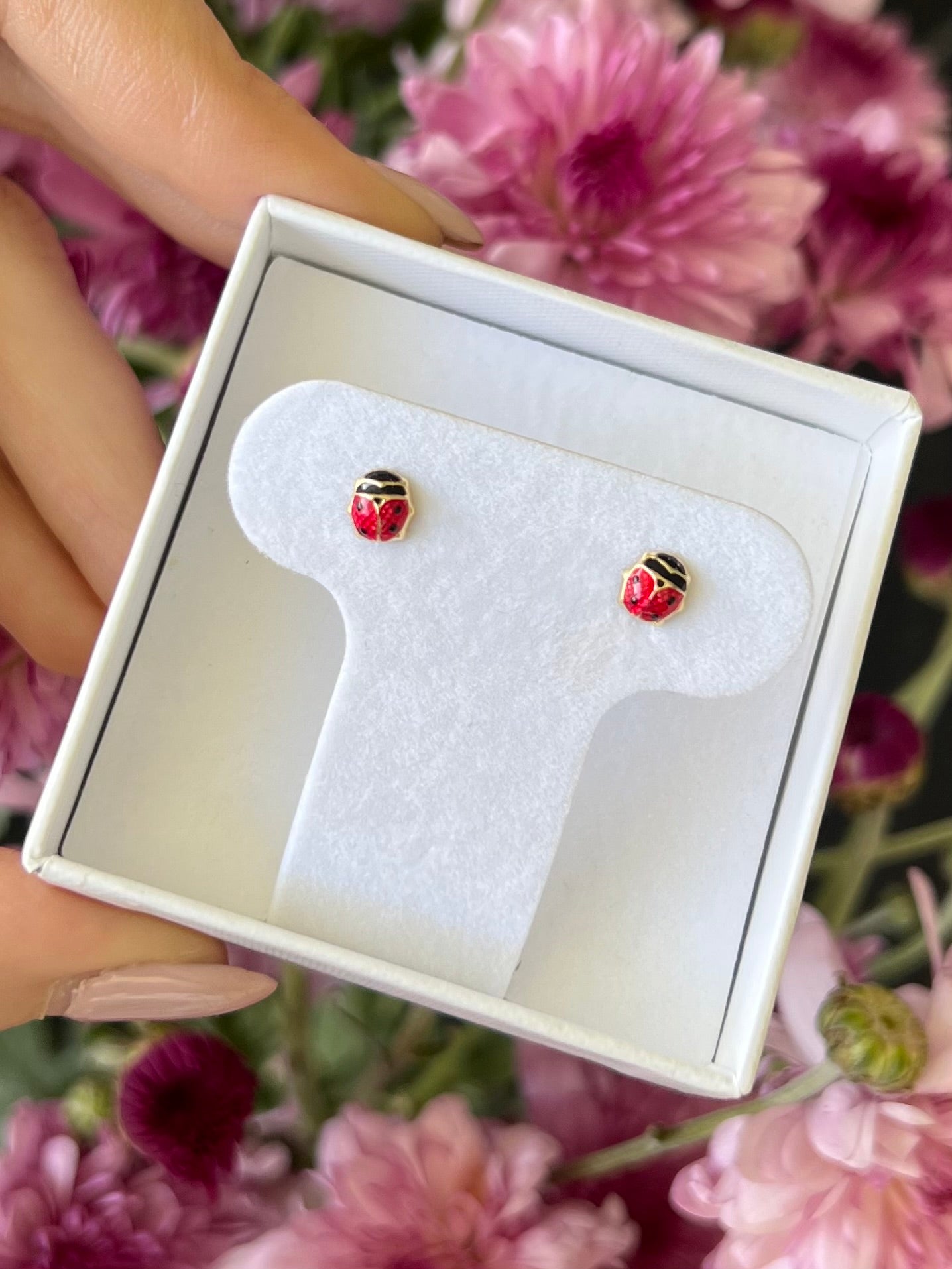 Aretes Catarina