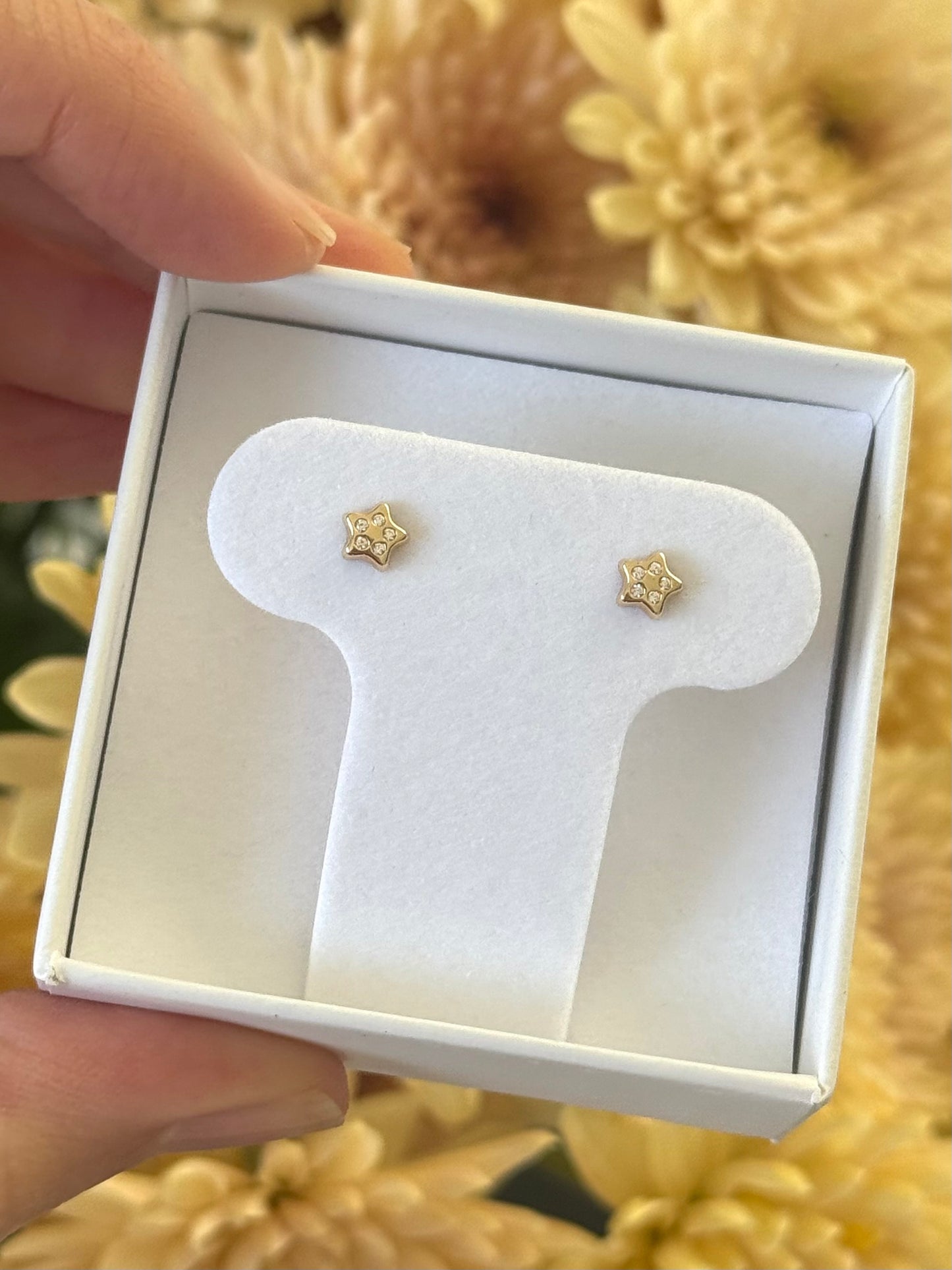 Aretes estrella y cz