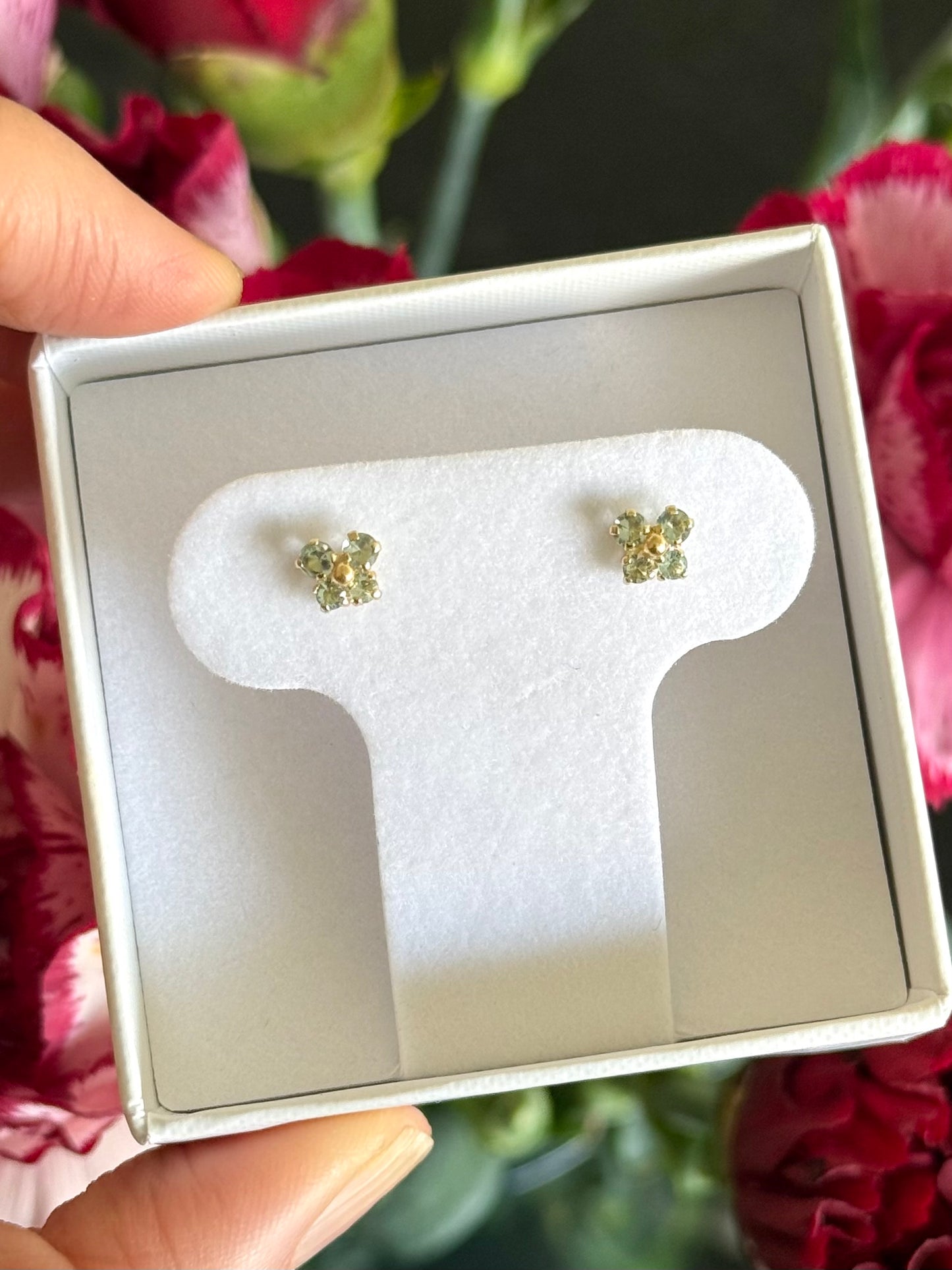 Mariposas cz